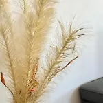 度假居 Maison, Veranda & Jardin Bassin D'arcachon